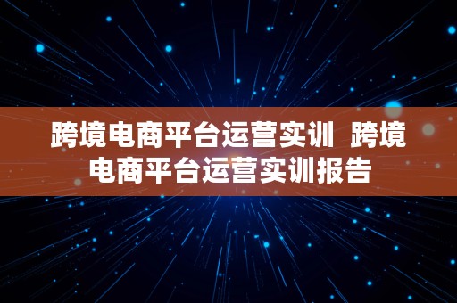 跨境电商平台运营实训  跨境电商平台运营实训报告