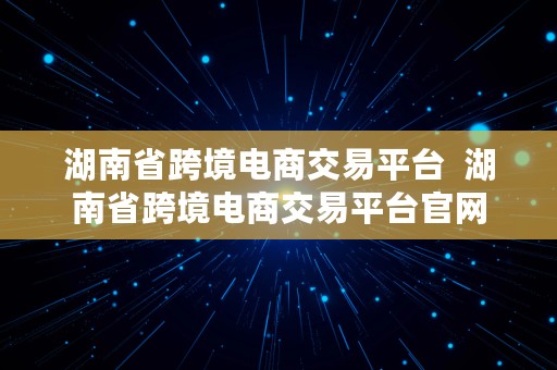 湖南省跨境电商交易平台  湖南省跨境电商交易平台官网