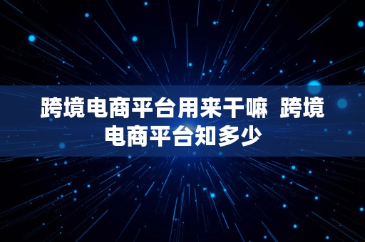 跨境电商平台用来干嘛  跨境电商平台知多少