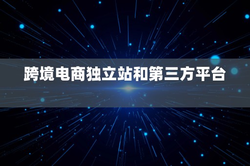 跨境电商独立站和第三方平台  