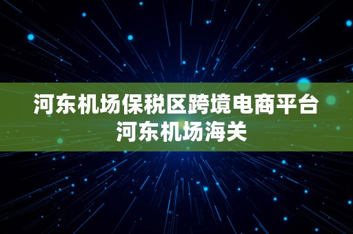 河东机场保税区跨境电商平台  河东机场海关