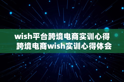 wish平台跨境电商实训心得  跨境电商wish实训心得体会