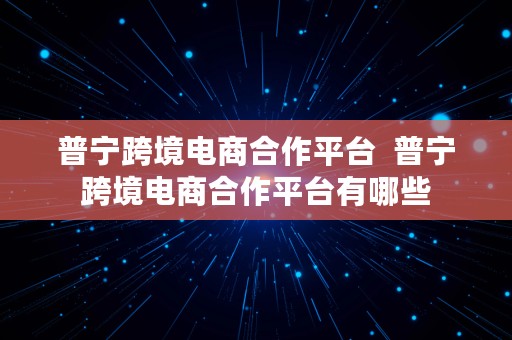 普宁跨境电商合作平台  普宁跨境电商合作平台有哪些