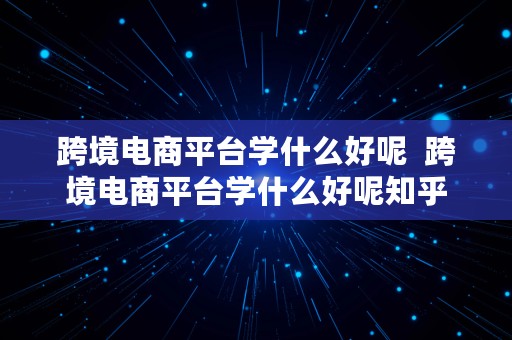 跨境电商平台学什么好呢  跨境电商平台学什么好呢知乎