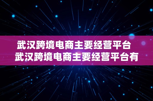 武汉跨境电商主要经营平台  武汉跨境电商主要经营平台有哪些