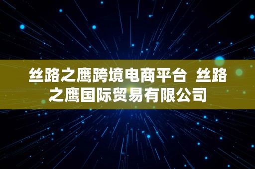 丝路之鹰跨境电商平台  丝路之鹰国际贸易有限公司