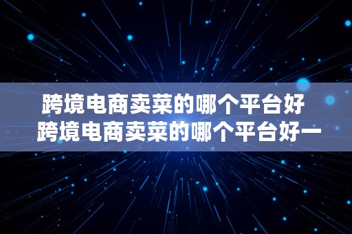 跨境电商卖菜的哪个平台好  跨境电商卖菜的哪个平台好一点