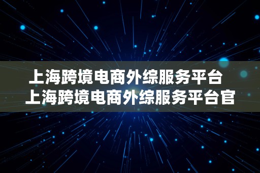 上海跨境电商外综服务平台  上海跨境电商外综服务平台官网