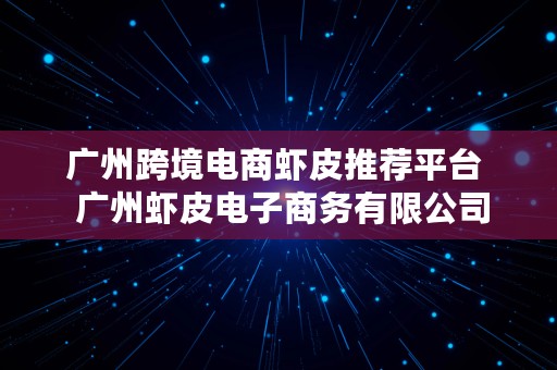 广州跨境电商虾皮推荐平台  广州虾皮电子商务有限公司