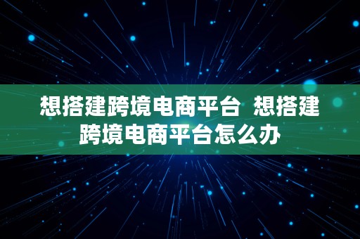 想搭建跨境电商平台  想搭建跨境电商平台怎么办