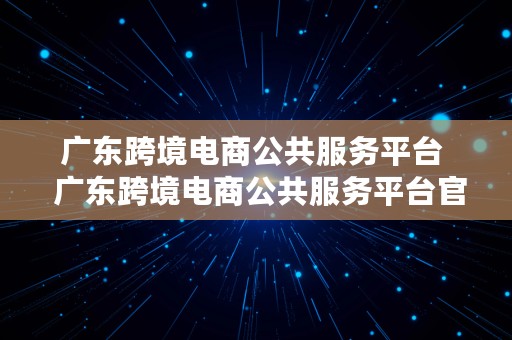 广东跨境电商公共服务平台  广东跨境电商公共服务平台官网