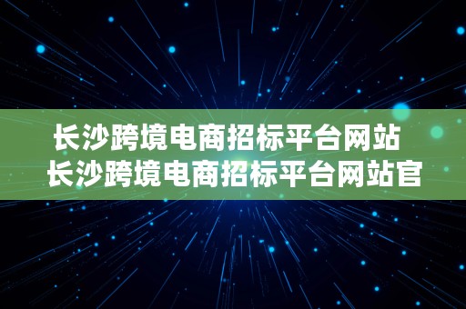 长沙跨境电商招标平台网站  长沙跨境电商招标平台网站官网