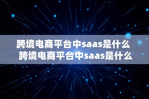 跨境电商平台中saas是什么  跨境电商平台中saas是什么意思