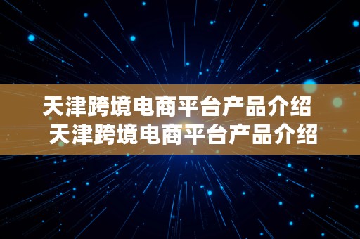 天津跨境电商平台产品介绍  天津跨境电商平台产品介绍