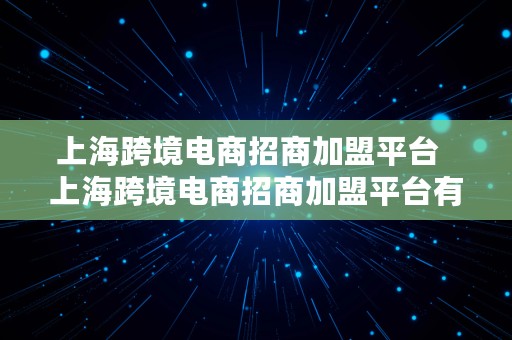 上海跨境电商招商加盟平台  上海跨境电商招商加盟平台有哪些