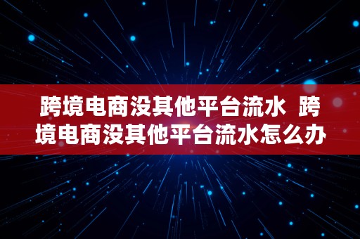 跨境电商没其他平台流水  跨境电商没其他平台流水怎么办