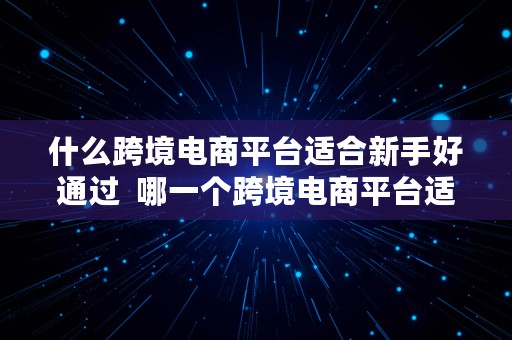 什么跨境电商平台适合新手好通过  哪一个跨境电商平台适合新手