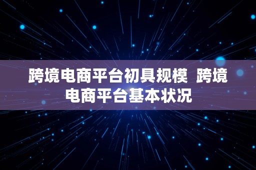 跨境电商平台初具规模  跨境电商平台基本状况