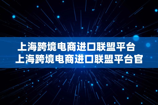 上海跨境电商进口联盟平台  上海跨境电商进口联盟平台官网