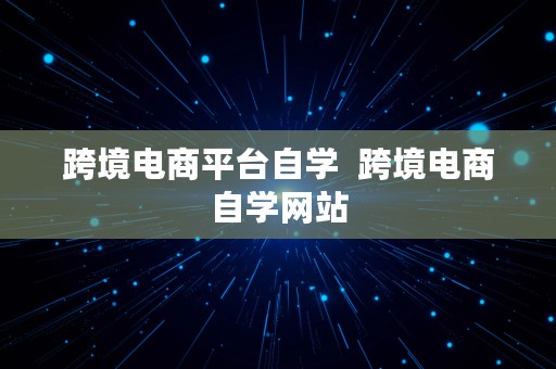 跨境电商平台自学  跨境电商自学网站