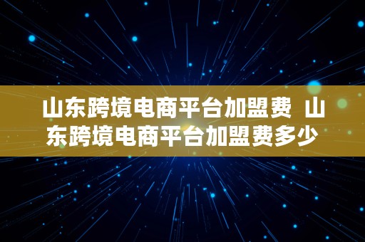 山东跨境电商平台加盟费  山东跨境电商平台加盟费多少