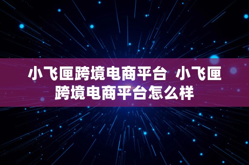 小飞匣跨境电商平台  小飞匣跨境电商平台怎么样