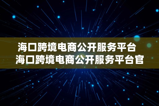 海口跨境电商公开服务平台  海口跨境电商公开服务平台官网