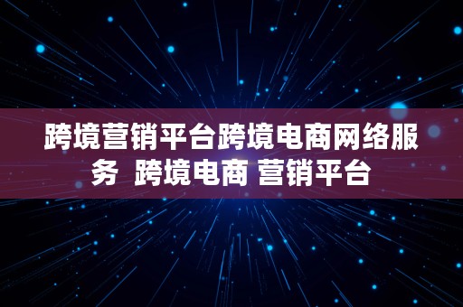 跨境营销平台跨境电商网络服务  跨境电商 营销平台