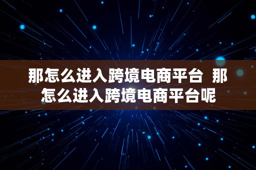 那怎么进入跨境电商平台  那怎么进入跨境电商平台呢