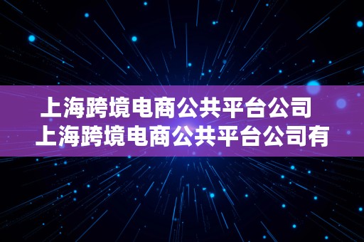 上海跨境电商公共平台公司  上海跨境电商公共平台公司有哪些