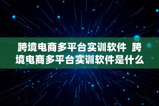 跨境电商多平台实训软件  跨境电商多平台实训软件是什么