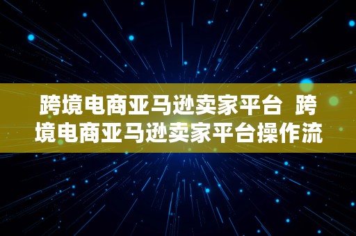 跨境电商亚马逊卖家平台  跨境电商亚马逊卖家平台操作流程