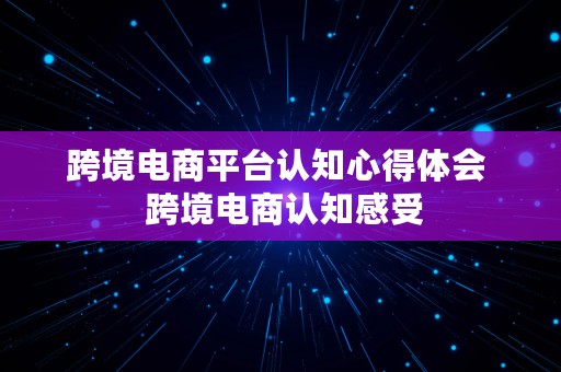 跨境电商平台认知心得体会  跨境电商认知感受