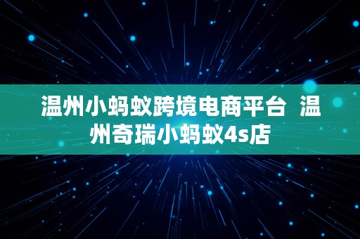 温州小蚂蚁跨境电商平台  温州奇瑞小蚂蚁4s店