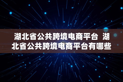 湖北省公共跨境电商平台  湖北省公共跨境电商平台有哪些