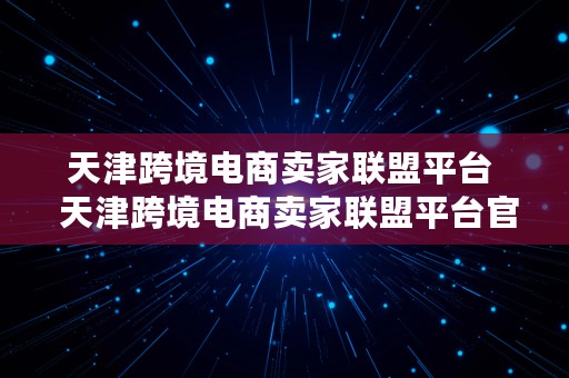 天津跨境电商卖家联盟平台  天津跨境电商卖家联盟平台官网