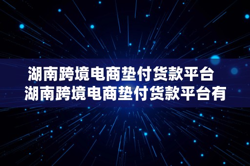 湖南跨境电商垫付货款平台  湖南跨境电商垫付货款平台有哪些