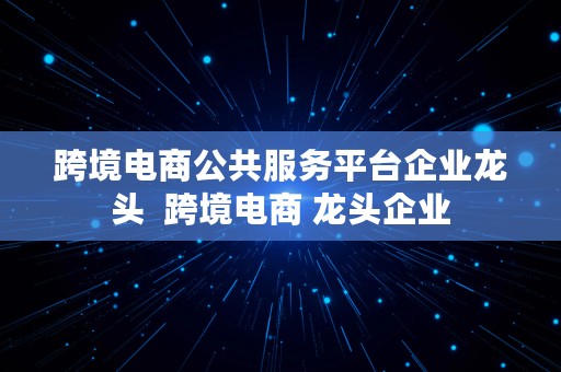 跨境电商公共服务平台企业龙头  跨境电商 龙头企业