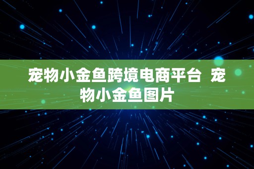 宠物小金鱼跨境电商平台  宠物小金鱼图片