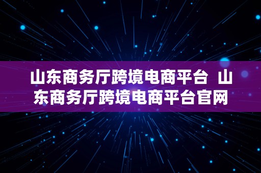 山东商务厅跨境电商平台  山东商务厅跨境电商平台官网