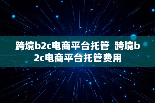 跨境b2c电商平台托管  跨境b2c电商平台托管费用