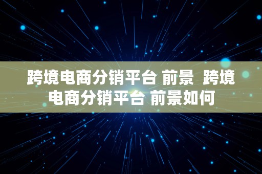 跨境电商分销平台 前景  跨境电商分销平台 前景如何