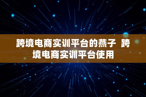 跨境电商实训平台的燕子  跨境电商实训平台使用