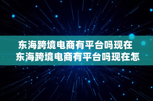 东海跨境电商有平台吗现在  东海跨境电商有平台吗现在怎么样