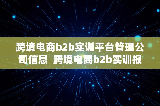 跨境电商b2b实训平台管理公司信息  跨境电商b2b实训报告