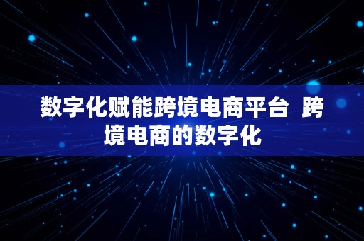 数字化赋能跨境电商平台  跨境电商的数字化