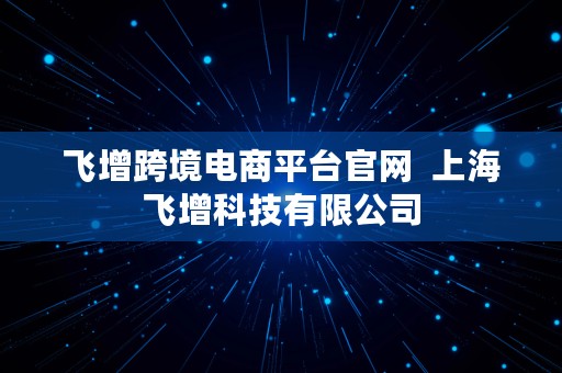 飞增跨境电商平台官网  上海飞增科技有限公司