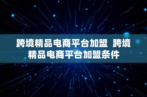 跨境精品电商平台加盟  跨境精品电商平台加盟条件