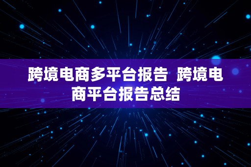 跨境电商多平台报告  跨境电商平台报告总结