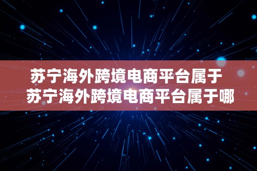 苏宁海外跨境电商平台属于  苏宁海外跨境电商平台属于哪个公司